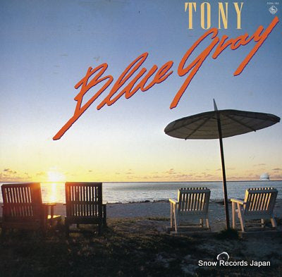 BLUE GRAY tony K28A-169