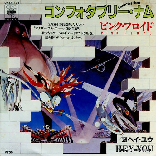 PINK FLOYD comfortably numb 07SP491