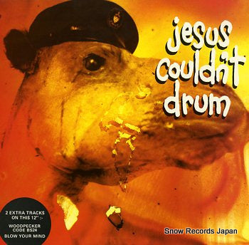 JESUS COULDN'T DRUM woodpecker code bs24 LM12044