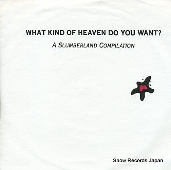 V/A what kind of heaven do you want? DRYL001