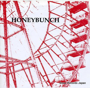 HONEYBUNCH walking into walls SHINE018