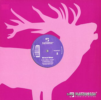 ANANDA, GABRIEL  miracel whop PH08