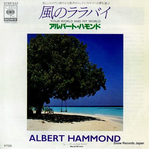 HAMMOND, ALBERT your world and my world 07SP532