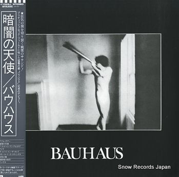 BAUHAUS in the flat field P-11049J