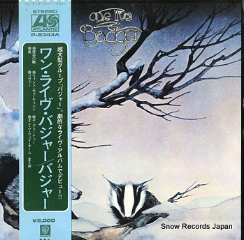 BADGER one live badger P-8343A