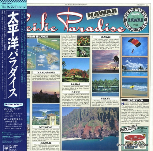 D.J.KAMASAMI KONG the pacific paradise 28AP2646
