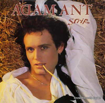 ANT, ADAM strip 25.3P-483