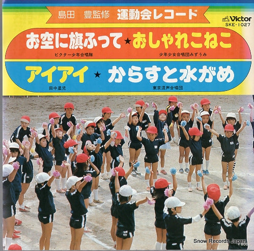 VICTOR SHONEN GASSHOTAI osora ni hata futte SKE-1027