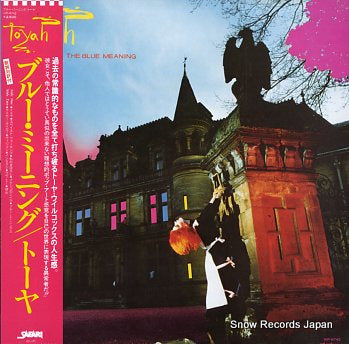 TOYAH the blue meaning VIP-6742