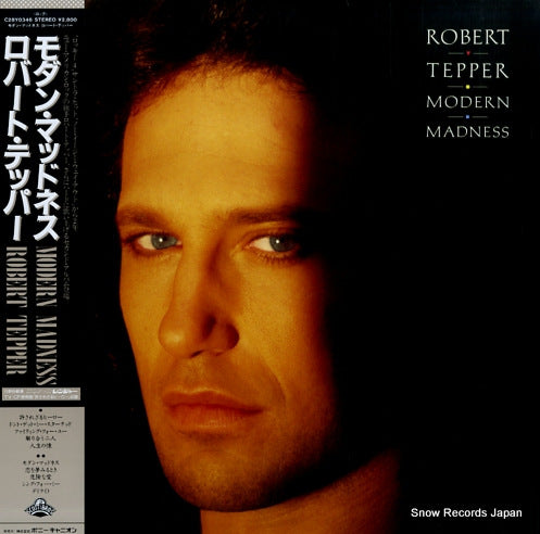TEPPER, ROBERT modern madness C28Y0346