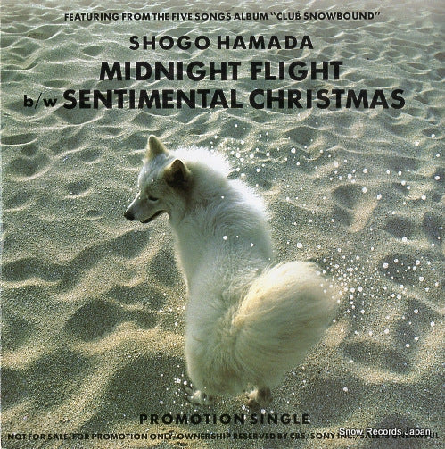 HAMADA, SHOGO midnight flight XDSH93112