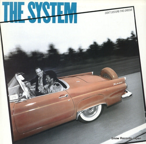SYSTEM, THE don't disturb this groove P-13520