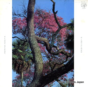 PINK CLOUD plant blend 30160-28