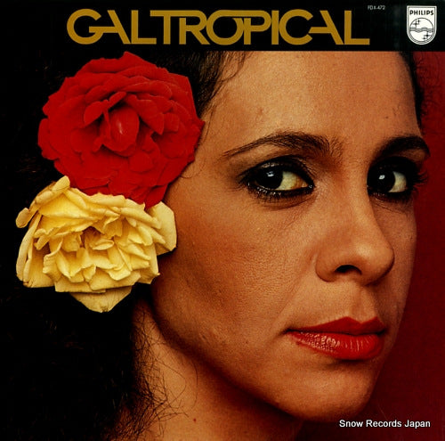 COSTA, GAL gal tropical FDX-472