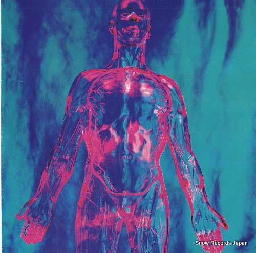 NIRVANA silver SP73