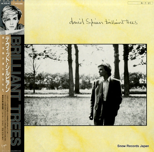 SYLVIAN, DAVID  brilliant trees VIL-6114