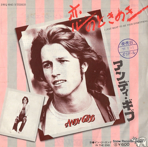GIBB, ANDY i just want to be your everything DWQ6042