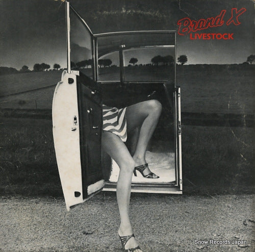 BRAND X livestock PB9824