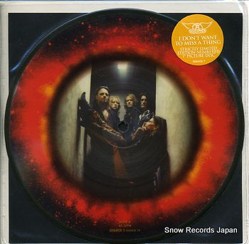 AEROSMITH i don't want to miss a thing 6664087