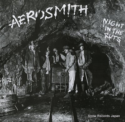 AEROSMITH night in the ruts 20AP3128
