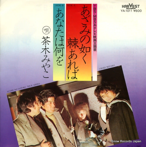 CHAKI, MIYAKO azami no gotoku toge areba YA-1011