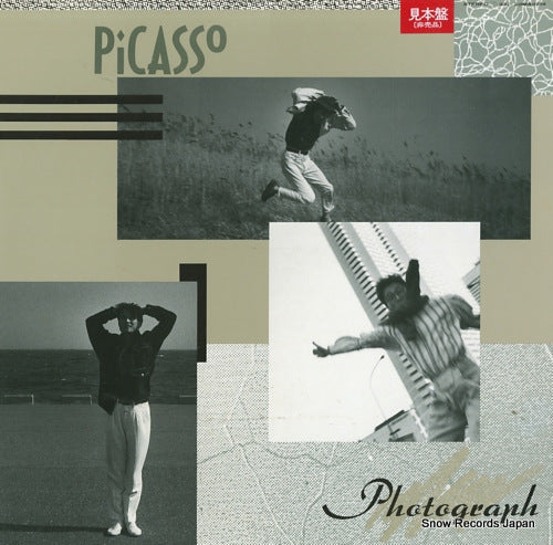 PICASSO photograph 28MS0134