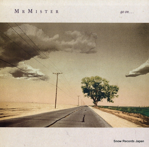 MR. MISTER go on RPL-8381