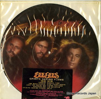 BEE GEES spirits having flown RS-1-3042