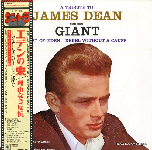 HEINDORF, RAY a tribute to james dean / east of eden / giant / rebel without a cause 25AP804
