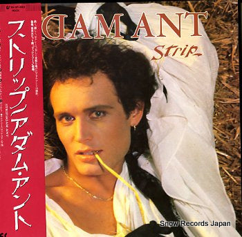 ANT, ADAM strip 25.3P-483