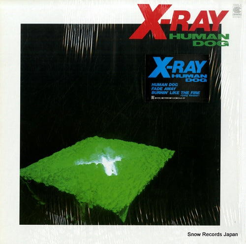 X-RAY human dog 12HS-5