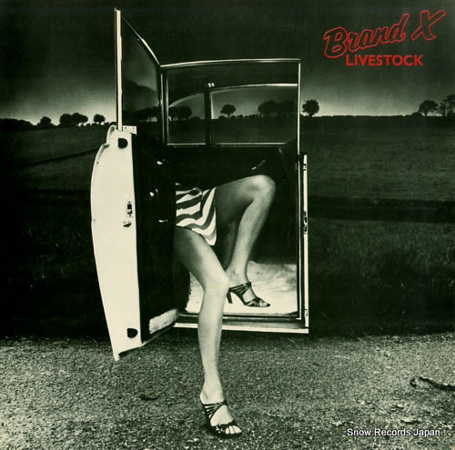 BRAND X livestock RJ-7361