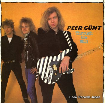 PEER GUNT through the wall MINLP-1