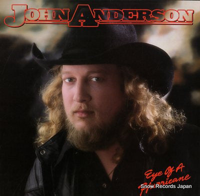 ANDERSON, JON eye of a hurricane 25099-1
