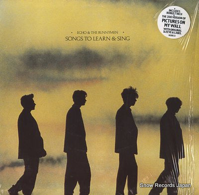 ECHO AND THE BUNNYMEN songs to learn  & sing KODE13