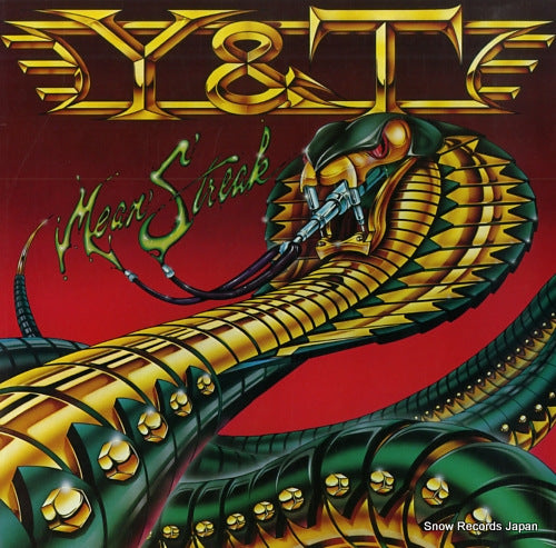 Y AND T mean streak AMP-28080