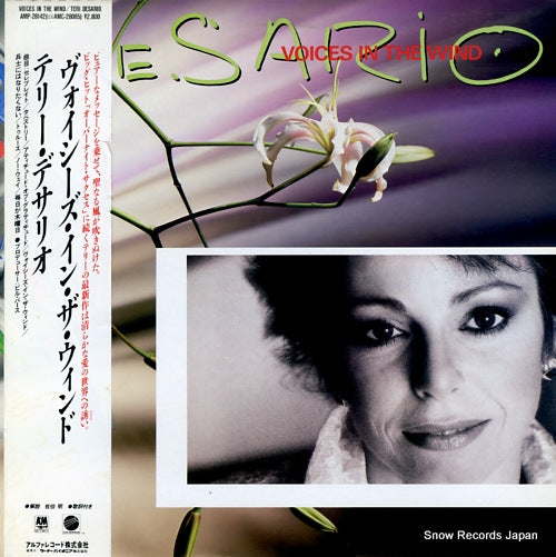 DESARIO, TERI voices in the wind AMP-28142