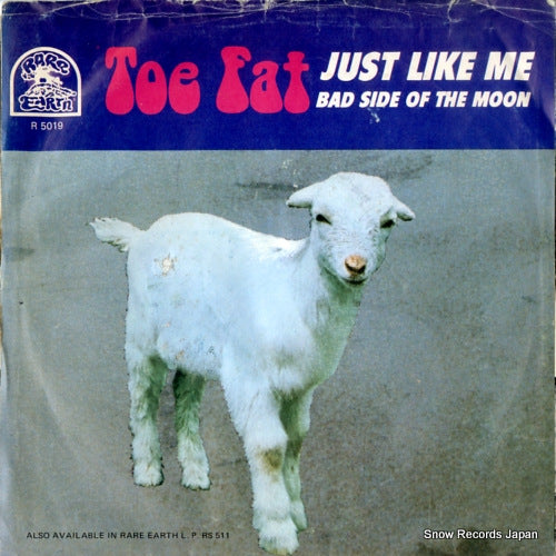TOE FAT bad side of the moon R5019