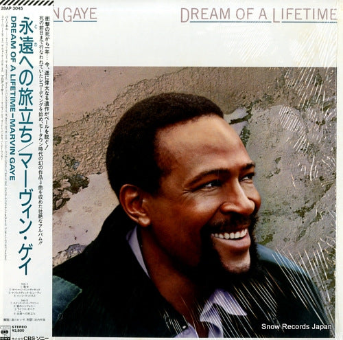 GAYE, MARVIN dream of a lifetime 28AP3045