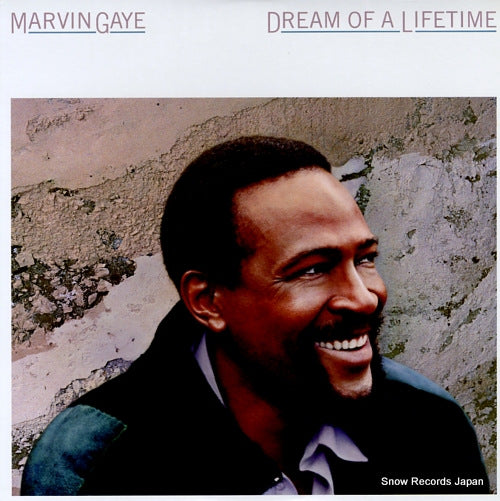 GAYE, MARVIN dream of a lifetime 28AP3045