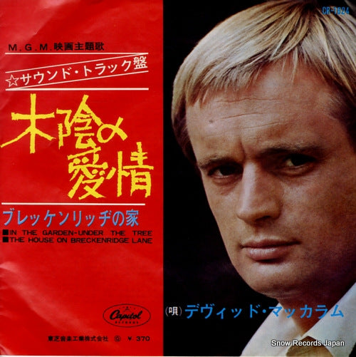 MCCALLUM, DAVID in the garden-under the tree CR-1624