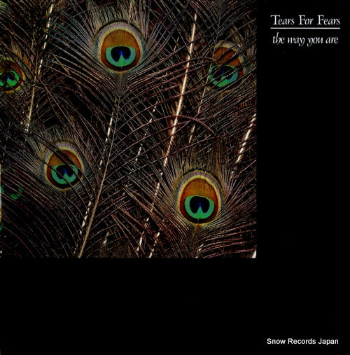 TEARS FOR FEARS the way you are IDEA612