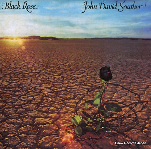 SOUTHER, JOHN DAVID black rose P-6434Y