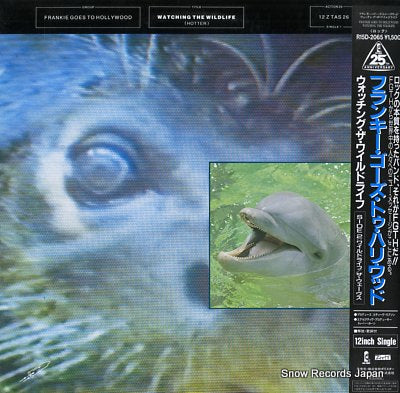 FRANKIE GOES TO HOLLYWOOD watching the wildlife R15D-2065