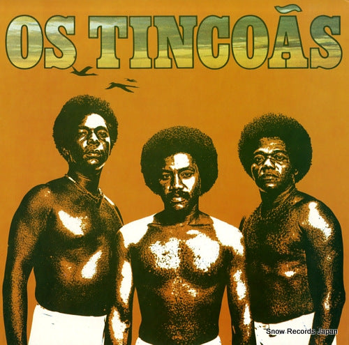 OS TINCOAS os tincoas RVP-6439