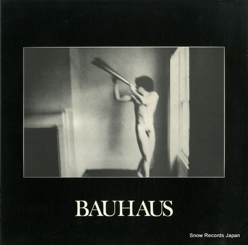 BAUHAUS in the flat field CAD13