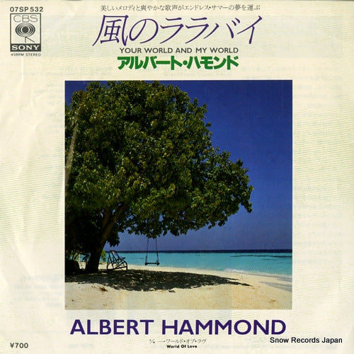 HAMMOND, ALBERT your world and my world 07SP532