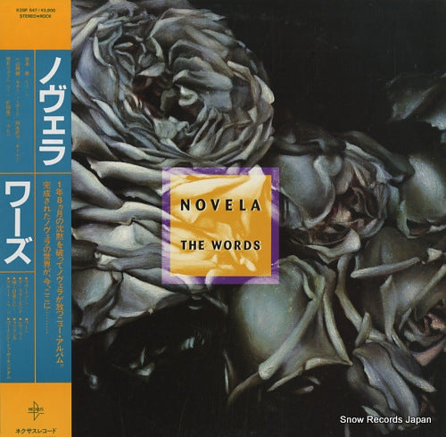 NOVELA the words K28P647