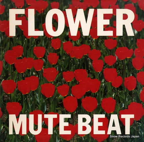 MUTE BEAT flower C28Y0258