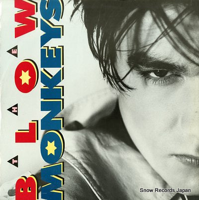 BLOW MONKEYS, THE it doesn't have to be this way (long) MONKT4